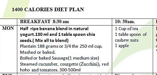 Sample personalized diet plan from Neo Nutrition Solutions